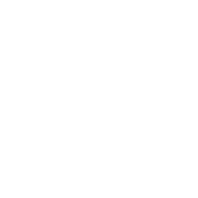 Test Socket